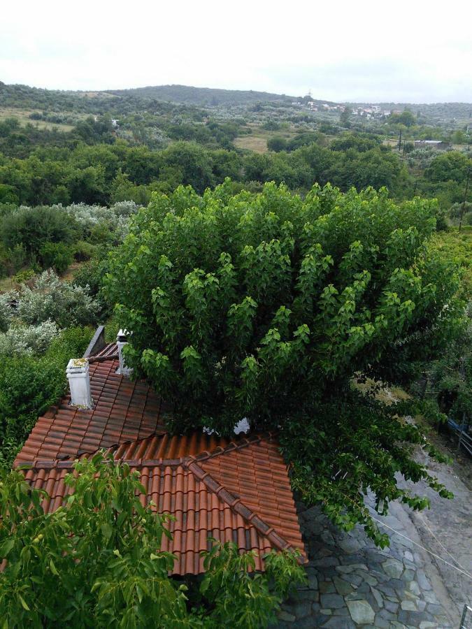Eleni'S Village Relaxation Home Edipsos Exteriér fotografie